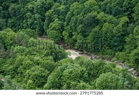 High angle look down at a turbulent muddy riverbed surrounded by thick deciduous forest canopy in a mountain canyon of Adygea. Natural geomorphology fluvial process and forest ecosystem under daylight for educational resource, ecology and geography textbook illustration