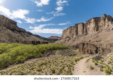 High angle panoramic view of a deep canyon with yellow grass, green river valley, and massive sandstone rock formations. Patagonia, Argentina