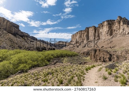 High angle panoramic view of a deep canyon with yellow grass, green river valley, and massive sandstone rock formations. Patagonia, Argentina
