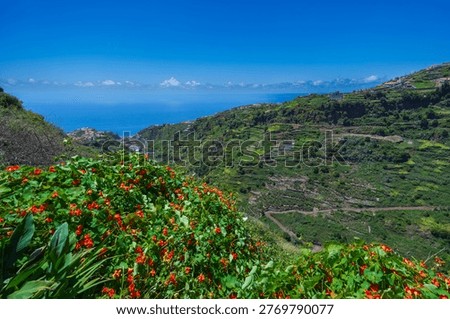 High angle panoramic view of the lush green valley of Ponta do Sol and the Atlantic Ocean from the Levada Nova hiking trail, Madeira Island, Portugal.