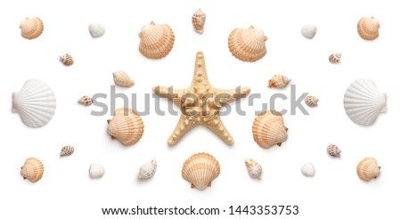 High angle, panoramic view of starfish and seashells isolated on white background  Сток-фото © 