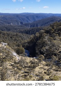 High angle perspective of a river flowing through a lush eucalyptus forest and gorge.