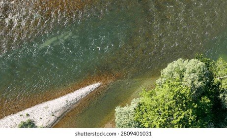 High angle shot of clear river water flowing past gravel beds and lush green trees.