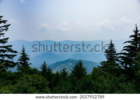 A high angle shot of the highest point in West Virginia Spruce Knob in the summer