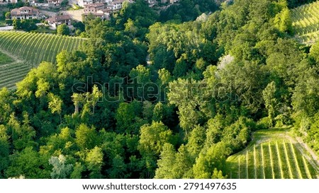 High angle shot of sunlit forests, rolling vineyards, and a small village in Piedmont.
