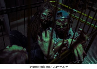 High Angle Shot Of Two Gory Zombies Trapped In Cage And Looking At Camera, FX Makeup, Copy Space