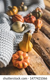 High angle small pumpkins on wooden table