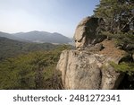 High angle and spring view of Maitreya Rock with human face shape on the cliff with pine trees at Songnisan Mountain of Unheung-ri near Sangju-si, South Korea
