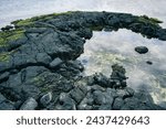 High angle and summer view of water pool and green laver on volcanic rocks at low tide at Gimnyeong-ri of Gujwa-eup near Jeju-si, Jeju-do, South Korea
