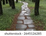 High angle and summer view of wet stepping stones on walking trail with Lilyturf green leaf in the forest near Yongyu-ri, Sangju-si, South Korea