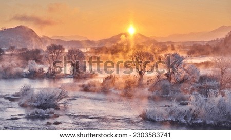 High angle and sunrise view of hoarfrost on the tree with water fog on Namhan River in winter at Mokgye-ri near Chungju-si, South Korea
