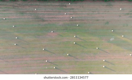  High angle top-down drone view of scattered round hay bales casting long shadows across a green agricultural field at sunset.