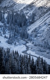 High angle vertical perspective of a narrow freezing creek winding across a snowy mountain valley flanked by frosted evergreen trees