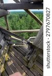 High angle vertical shot looking down a wooden staircase of a forest observation watchtower surrounded by green treetops.