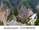 High angle vertical view of the steep rugged walls of the Grand Canyon of the Yellowstone with a pine tree clinging to the edge, Yellowstone National Park, Wyoming, USA