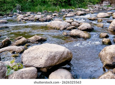 A high angle view of a babbling brook cascading over the rocks