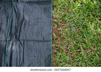 High angle view of black plastic sheeting covered soil for preventing weed growth. It works by blocking sunlight, which is essential for plant growth, and essentially suffocating weeds.