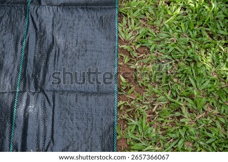 High angle view of black plastic sheeting covered soil for preventing weed growth. It works by blocking sunlight, which is essential for plant growth, and essentially suffocating weeds.