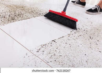 231 Mob Broom Images, Stock Photos & Vectors | Shutterstock