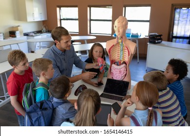 High angle view of a Caucasian male teacher using a human anatomy model to teach a diverse group of elementary school children about human organs during a biology lesson, the children sitting in a - Powered by Shutterstock