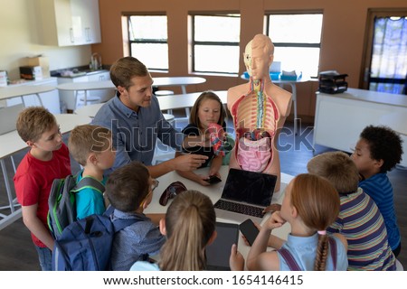 High angle view of a Caucasian male teacher using a human anatomy model to teach a diverse group of elementary school children about human organs during a biology lesson, the children sitting in a