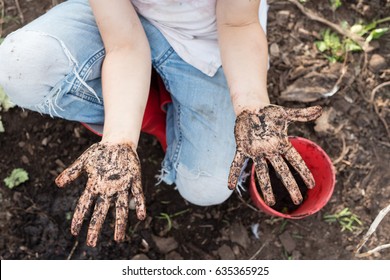 High angle view of child's muddy hands held palm up (selective focus)