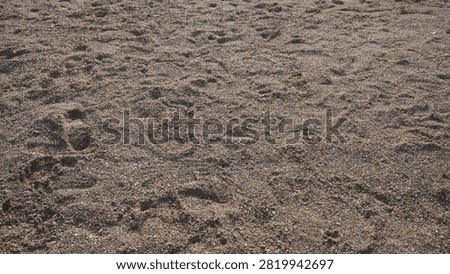 A high angle view of coarse brown beach sand featuring scattered human footprints and natural textures in an outdoor setting.