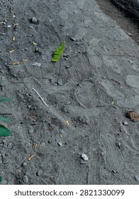 High angle view of coarse sandy ground with small gravel, fallen leaves, plastic straw, and footprints on the surface.