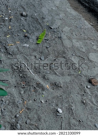 High angle view of coarse sandy ground with small gravel, fallen leaves, plastic straw, and footprints on the surface.