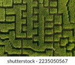 High angle view of corn maze. Concept of search for a solution and a way out.