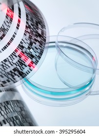 High Angle View Of Curled DNA Sequencing Gel And Petri Dish