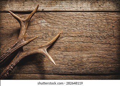 High Angle View of Deer Antlers Against Rustic Wooden Background with Copy Space - Shutterstock ID 282648119