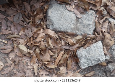 High angle view of dry brown fallen leaves scattered around concrete paving blocks on the ground.