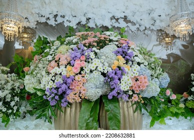 High Angle View Of Flowering Plants - Stock Photo 