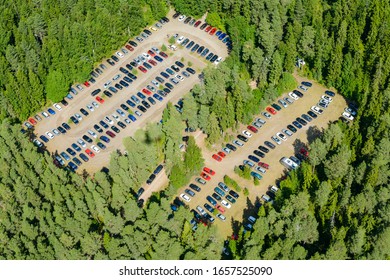 High angle view of forest and crowded parking lot