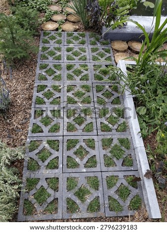 High angle view of a garden path made of grey concrete permeable pavers with green grass growing through holes. Eco-friendly landscape design.
