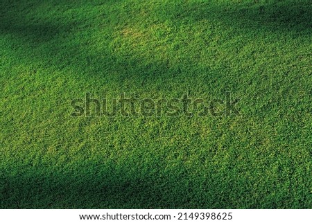 High angle view of green grass with sunlight and shadow at Los Angeles, California, USA
