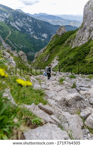 High angle view of a hiker navigating a difficult, rocky descent in a high mountain range with a lush green valley background.
