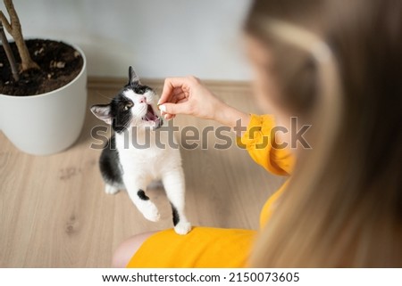 high angle view of hungry black and white cat getting fed with treats by young female pet owner