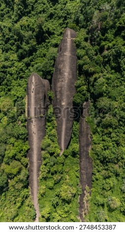High angle view of an iconic Three Whales Rock (in Thai called Hin Sam Wan) a 75-million-year-old rock formation protruding out of a mountain in Phou Sing, Bueng Kan Province, Thailand.