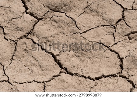 High angle view of light brown baked earth with cracks