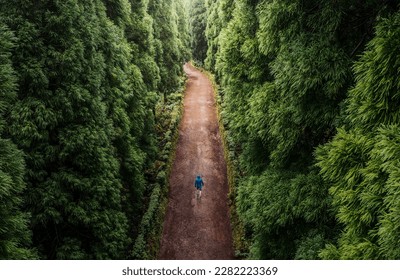 High angle view of a lonely man, walking throght the forest, on a rainy day with copy space