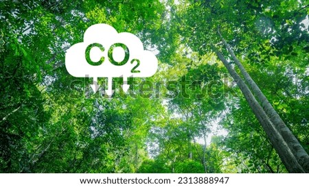 High angle view looking up on forest trunk with holes in shape of CO2 letters. CO2 reduction concept for environment, global warming, sustainable development. and renewable energy green business