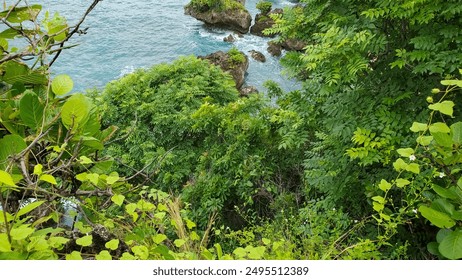 high angle view of Lush, green foliage frames a stunning coastal view with rocky outcrops. - Powered by Shutterstock