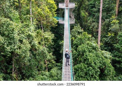 High angle view of man taking photo at suspension bridge in tree top canopy walkway in Danum rain forest Lahad datu - Shutterstock ID 2236098791
