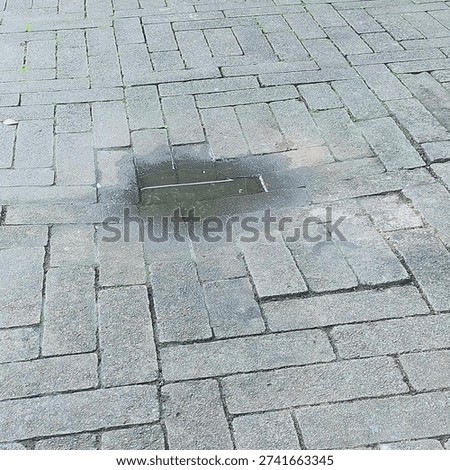 High angle view of a misplaced paving block on a stone sidewalk with a water puddle