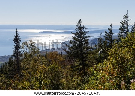 High angle view of mixed trees on the Mount St. Joseph side with the sea in the background seen during a sunny late summer afternoon, Carleton-sur-Mer, Quebec, Canada