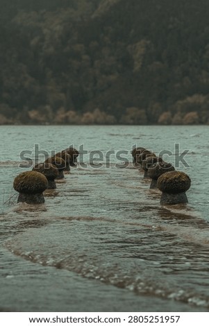 High angle view of mossy stone pillars of a flooded pier disappearing into the water of a volcanic lake, Furnas, Azores, Portugal.