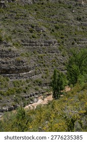 High angle view of a muddy river flowing through a deep rocky canyon during spring thaw