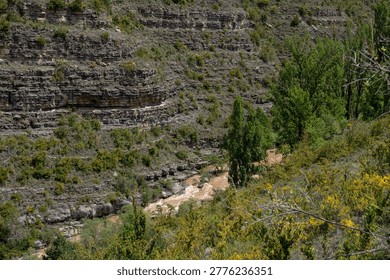 High angle view of a muddy river flowing through a deep rocky canyon during spring thaw